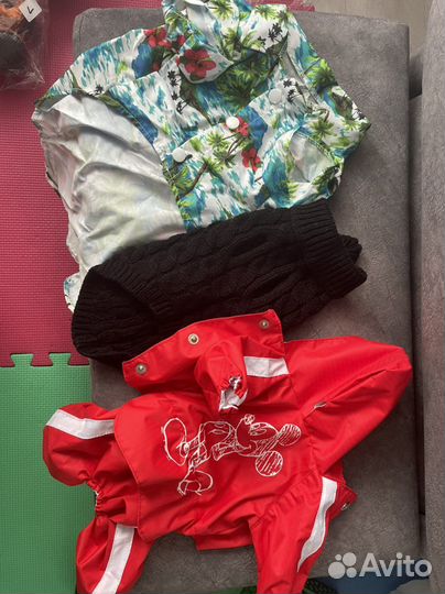 Товары для животных новые