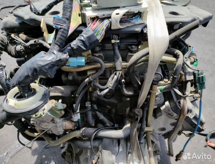 Двигатель nissan cima GF50 VK45DD