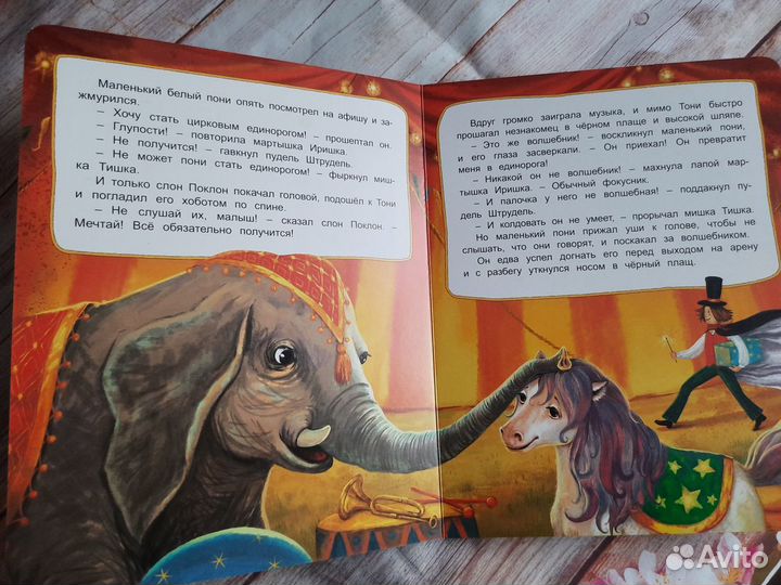 Мечта маленького Пони. Е. Земляничкина. Книга