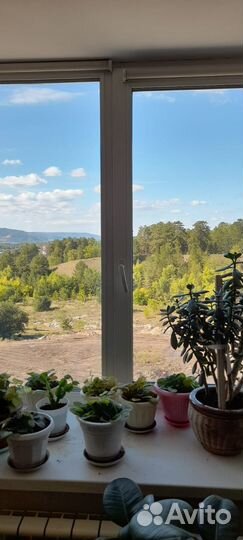 Окна пластиковые