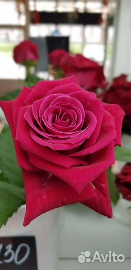 Товаровед-бухгалтер, менеджер, пом. товароведа