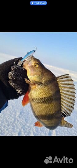 Балансир Lucky 5 50мм15H 15HRTцена за2 шт