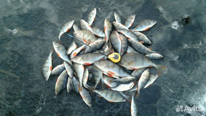 Зимние блесны