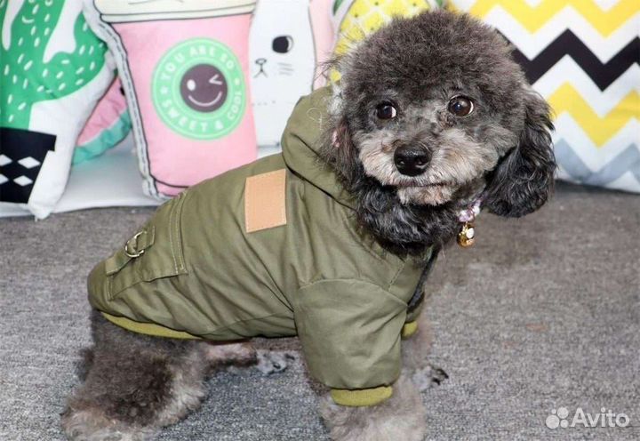 Комбинезон для собаки кошки/ зимняя одежда