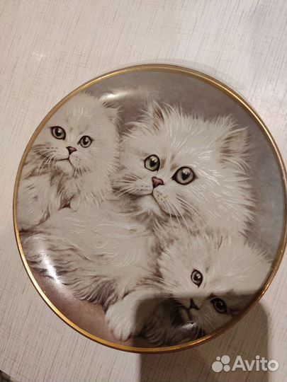 Коллекционная тарелка Кошки Шиншилла