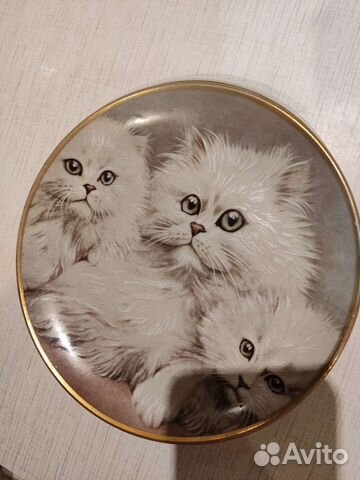 Коллекционная тарелка Кошки Шиншилла