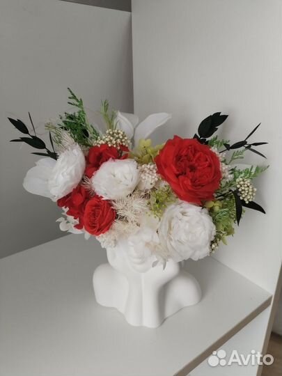 Комнатные растения цветы