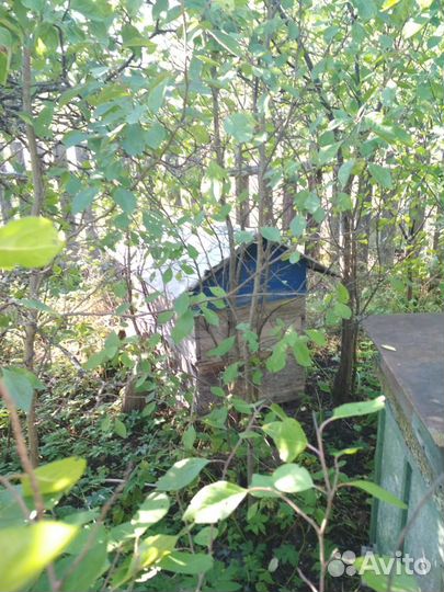 Продам ульи для пчел б\у