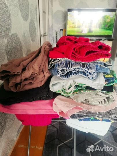 Отдам бесплатно