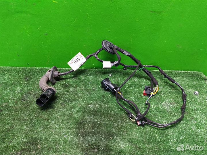 Проводка двери задней правой Ford Focus 3 (CB8) 2