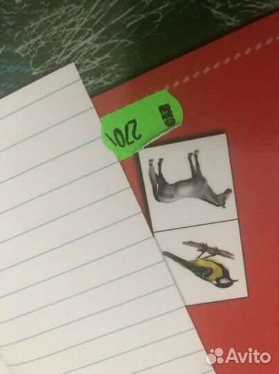 Рабочая тетрадь окружающий мир 1 класс