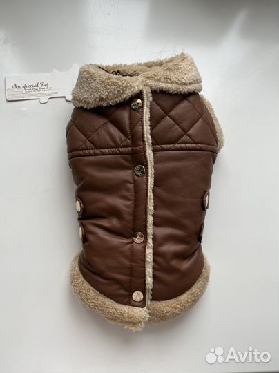 Одежда для маленьких пород собак