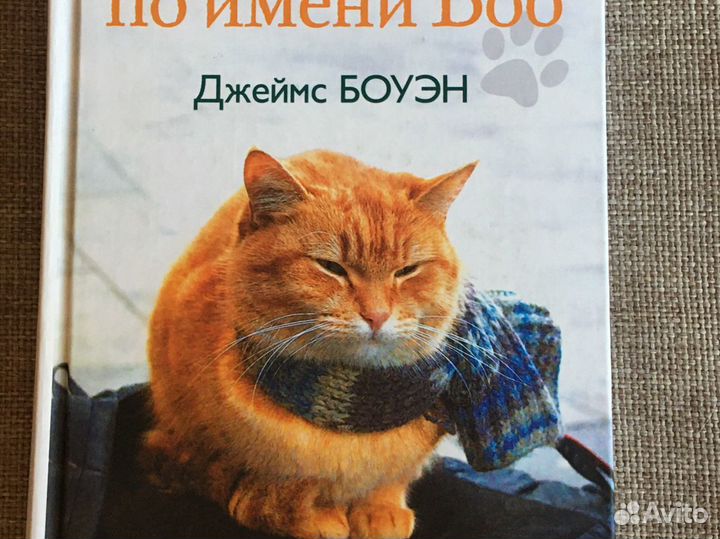 Кот Боб, Отцы и дети