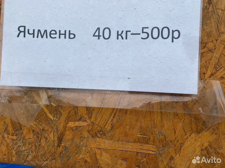 Зерно пшеница ячмень кукуруза овес комбикорм