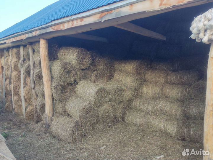 Сено в тюках, рулонах