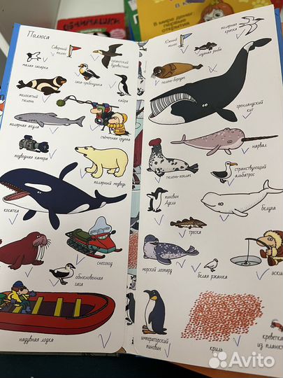 Найди и покажи clever