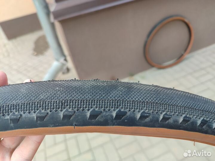 Покрышки велосипедные Maxxis Receptor