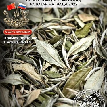 Белый чай Бай Му Дань