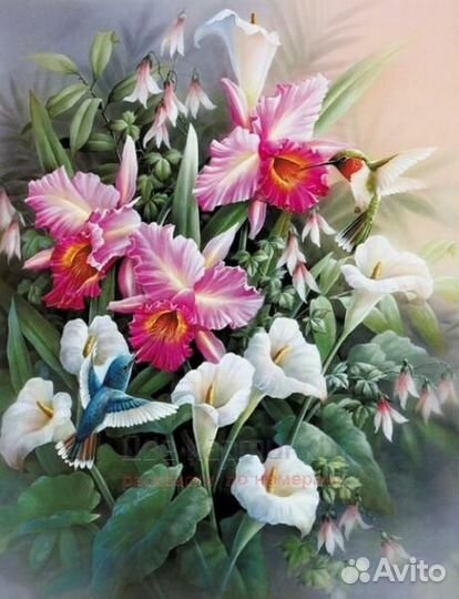 Алмазная мозаика 40x50 Колибри у цветущих