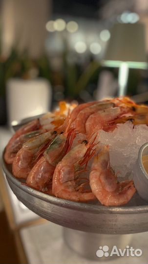 Северная креветка 90 120