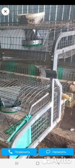 Клетка для кроликов(профессиональная)
