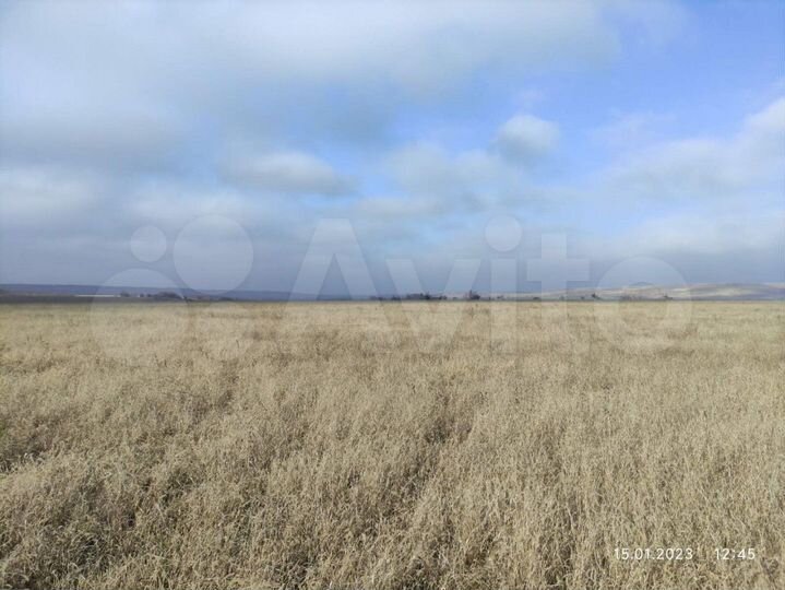 Участок 19 га (промназначения)