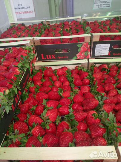 Доставка фруктов, овощей и ягод