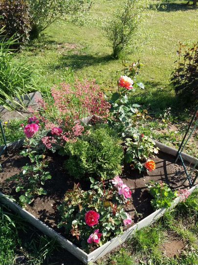 Дача 72 м² на участке 12 сот.