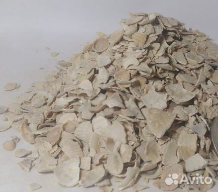Ракушка кормовая