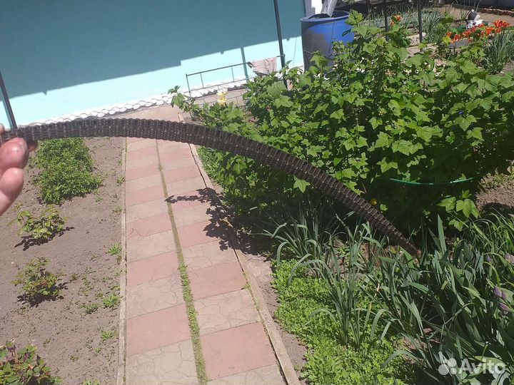 Комплект грм на Хонда cr-v