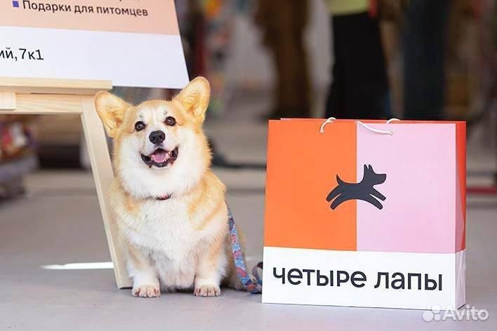 Водитель категории «C»