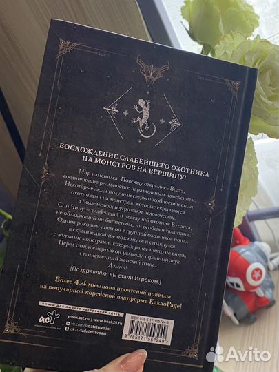 Поднятие уровня в одиночку 2 тома