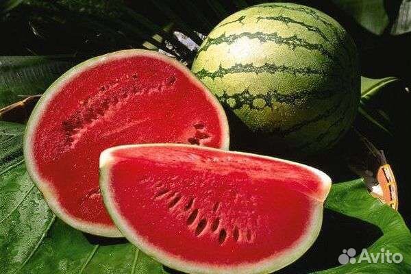 Арбузы