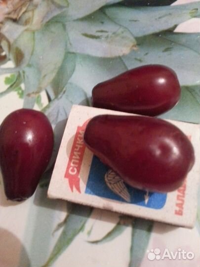 Кизил крупный грушевидный