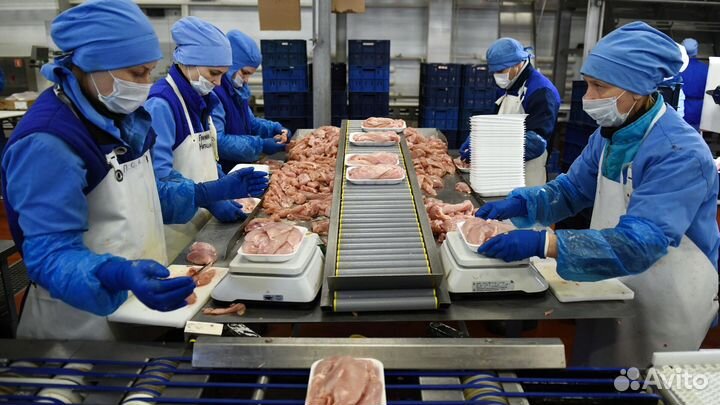 Работа на птицефабрике с проживанием (вахты) Пермь