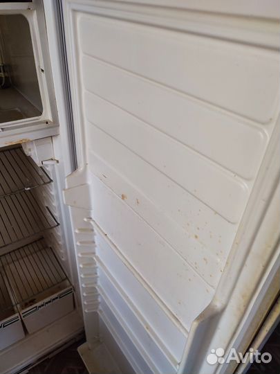 Холодильник чинар