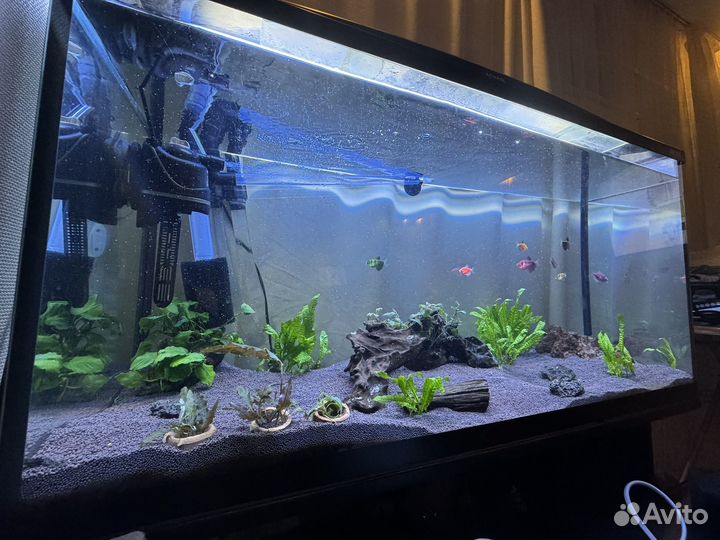 Аквариум 200 л с тумбой