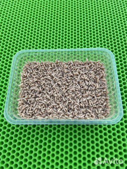 Опарыш оптом