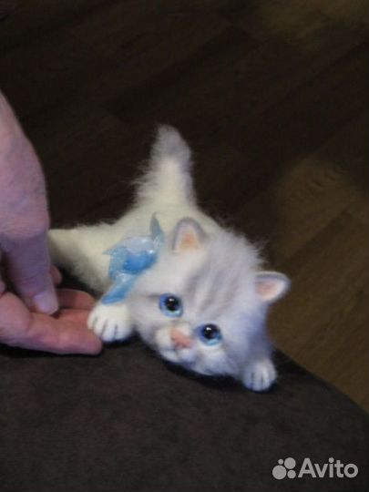 Валяный реалистичный котенок игрушка ручной работы