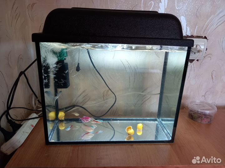 Аквариум 20л