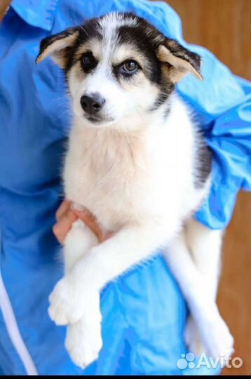 Малышка ждет маму