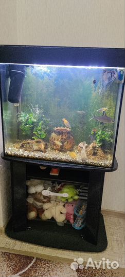 Аквариум с тумбой 160л