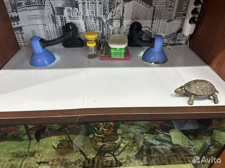 Аквариум