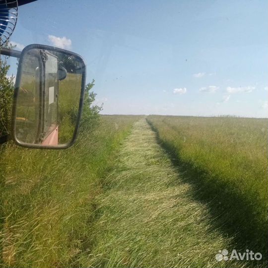 Сено в тюках