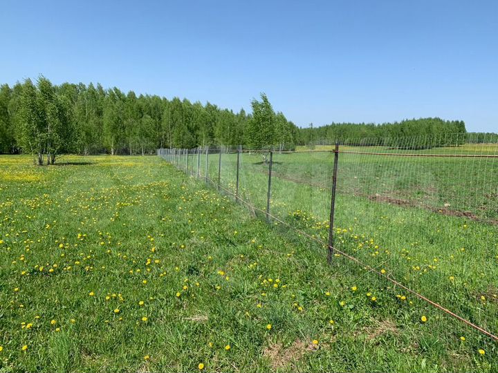 Участок 6,2 га (СНТ, ДНП)