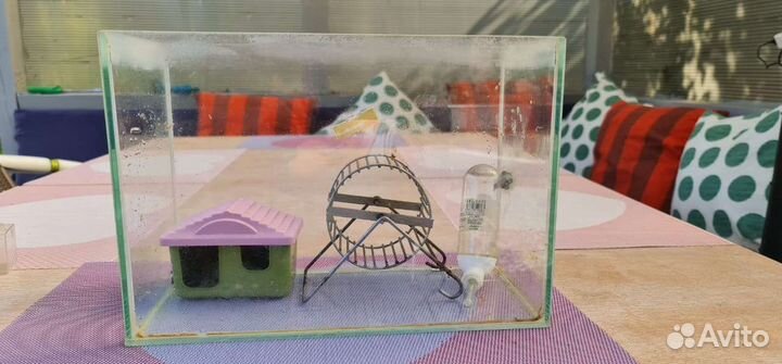 Аквариум для грызунов