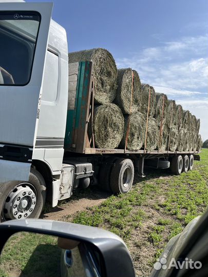 Сено в рулонах люцерна