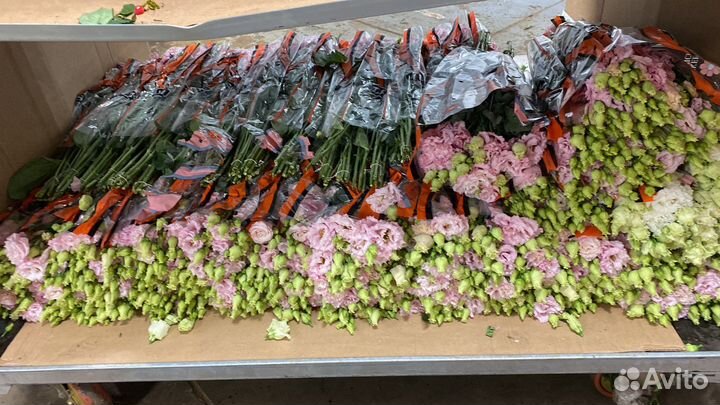 Цветы букеты оптом и в розницу