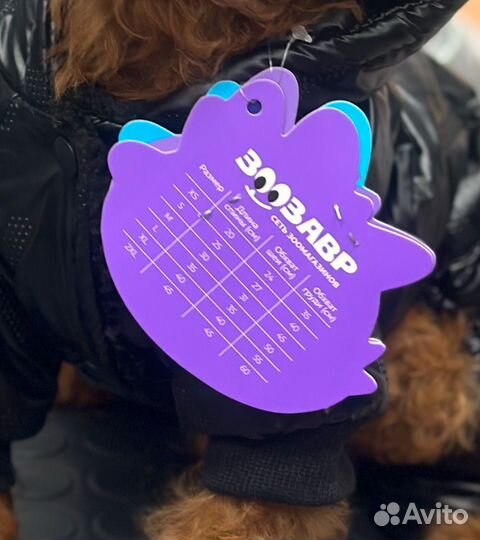 Комбинезон для собак