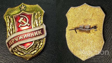 Значок дружинник